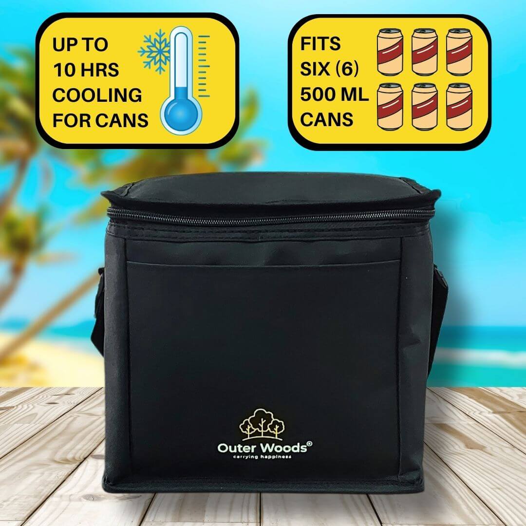 Insulated 6 pack cooler bag online